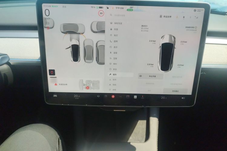 Tesla Model Y 2023 #13 Tesla Model Y 2023 car image #13