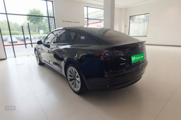 Tesla Model 3 2023 car image #5