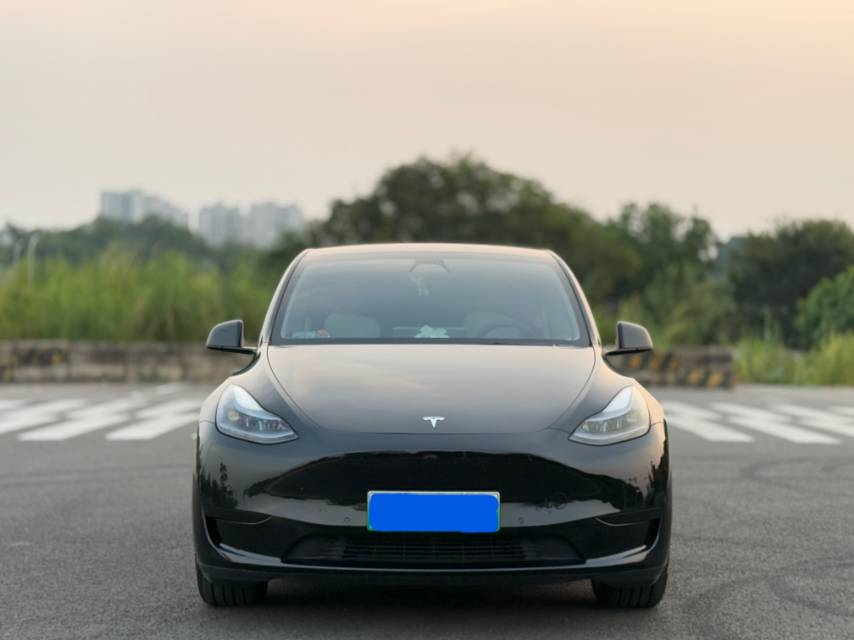 Tesla Model Y 2022 car image #2