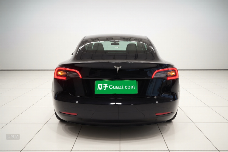 Tesla Model 3 2020 car image #6