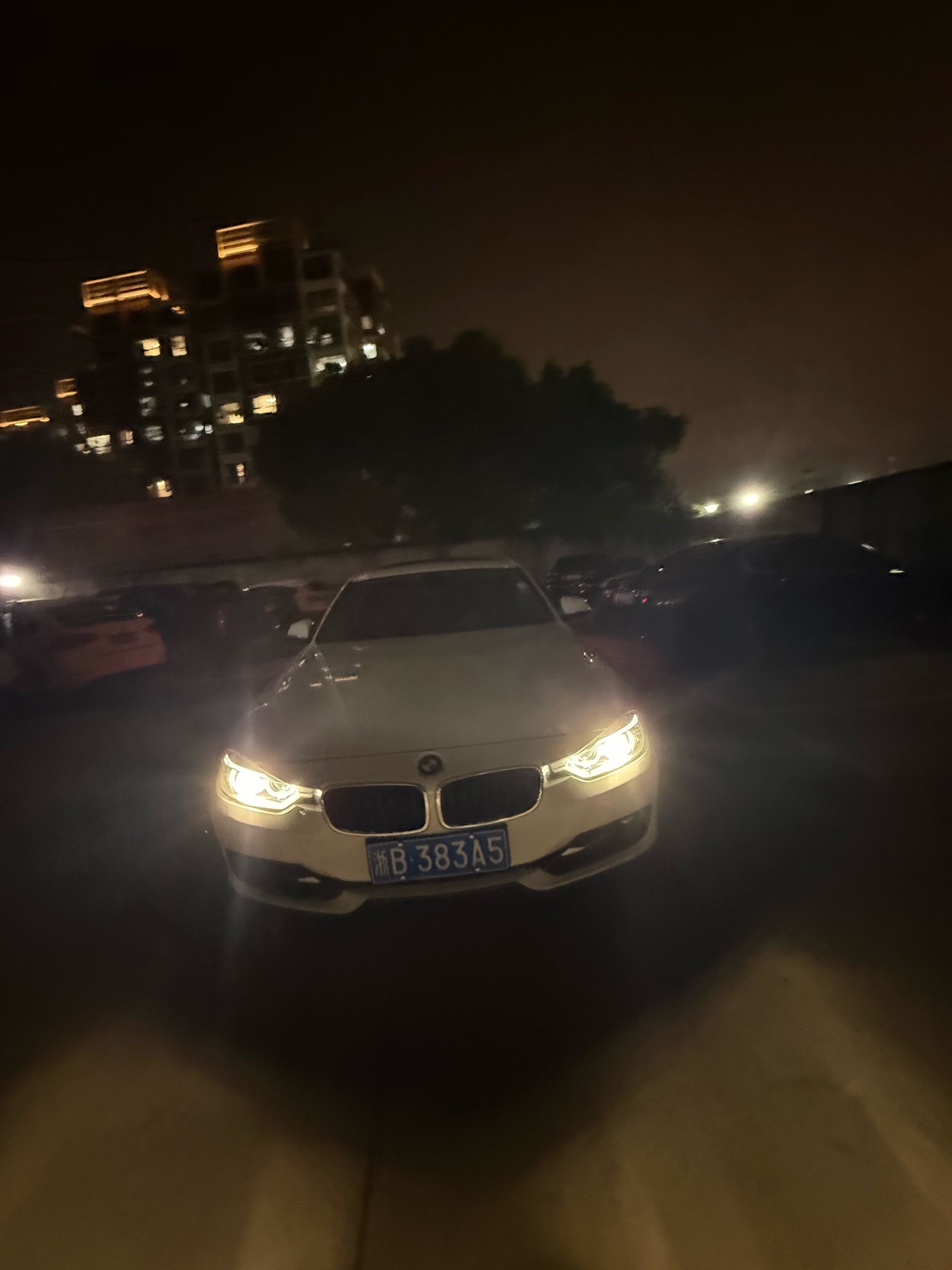 BMW 3 Series 2014 car image #11