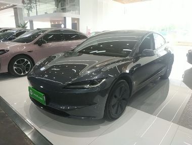 Tesla Model 3 2024 Tesla Model 3 2024 car image