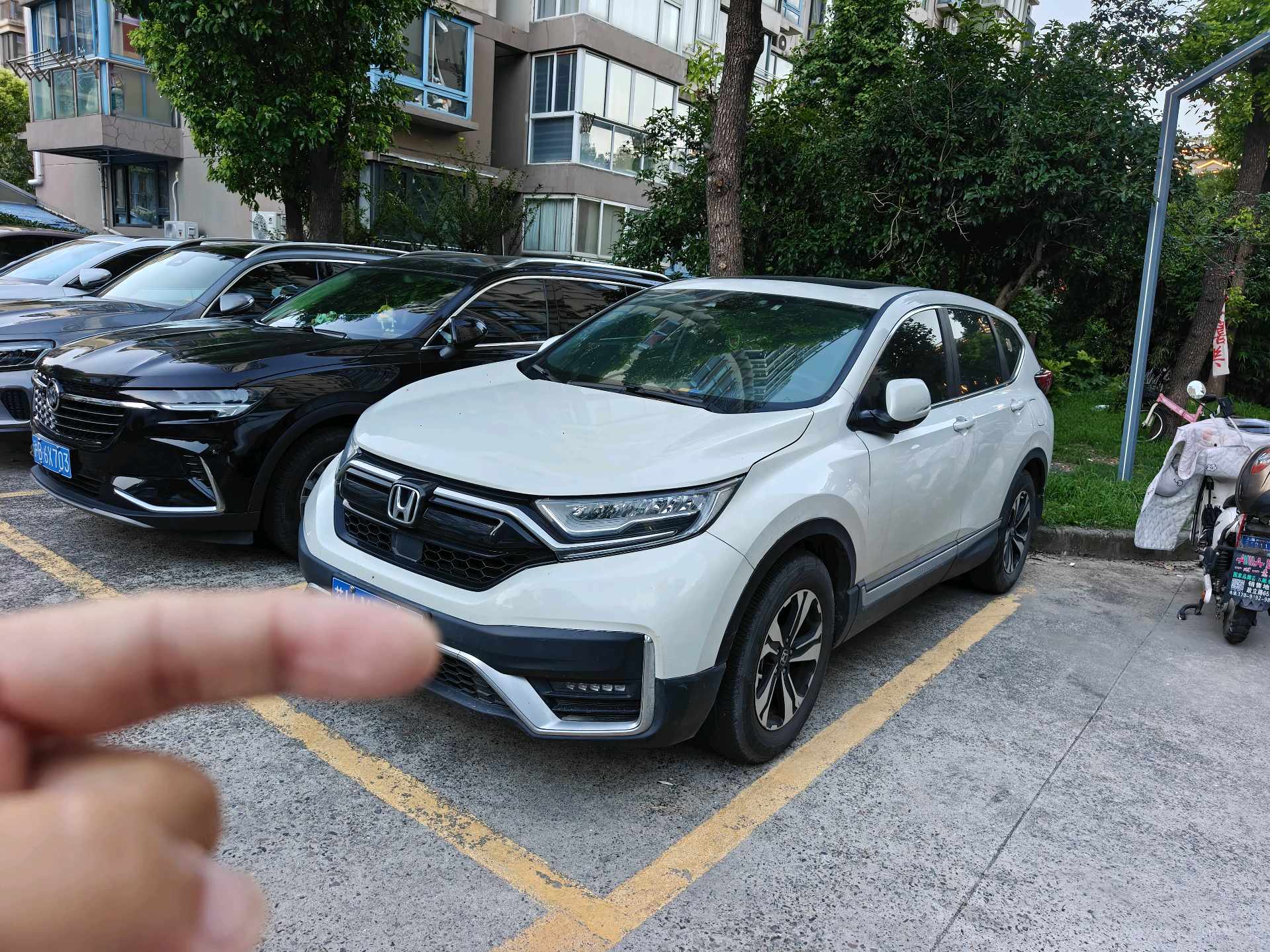 Honda CR-V 2022 car image 