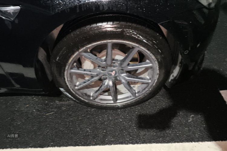 Tesla Model 3 2020 car image #9