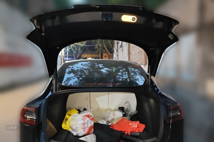 Tesla Model 3 2022 car image #21