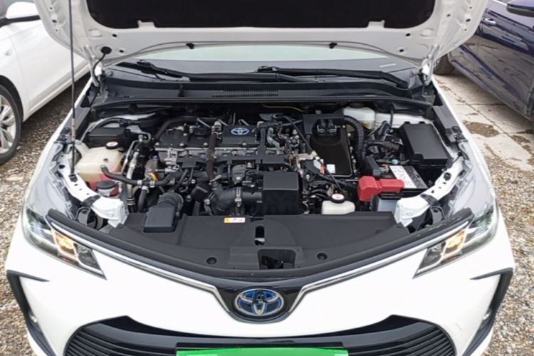Toyota Corolla 2021 #20 Toyota Corolla 2021 car image #20