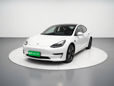 Tesla Model 3 2023 Tesla Model 3 2023 car image