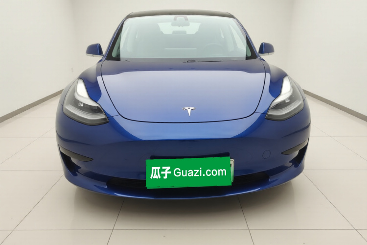 Tesla Model 3 2020 immagine di auto #3
