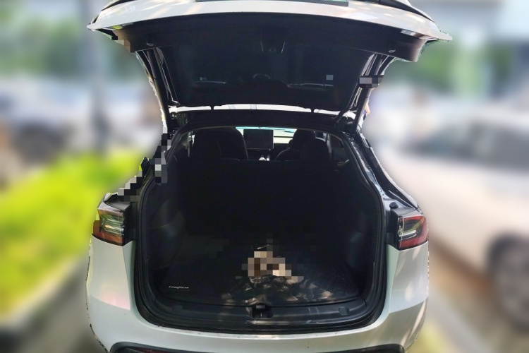 Tesla Model Y 2023 #17 Tesla Model Y 2023 car image #17