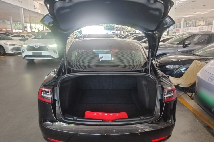 Tesla Model 3 2020 #19 Tesla Model 3 2020 immagine di auto #19