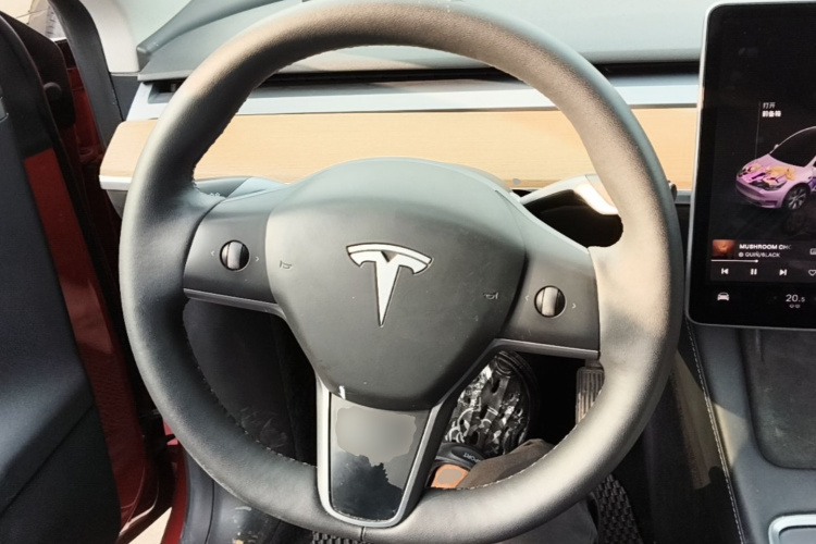 Tesla Model Y 2022 #15 Tesla Model Y 2022 car image #15