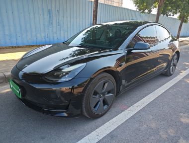 Tesla Model 3 2022 car image 