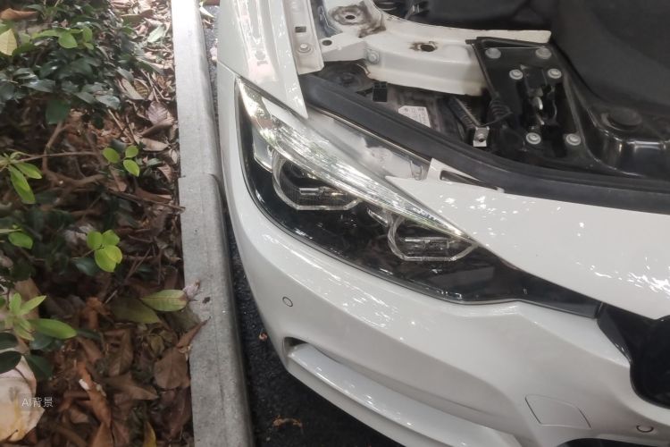 BMW 3 Series 2018 car image #8