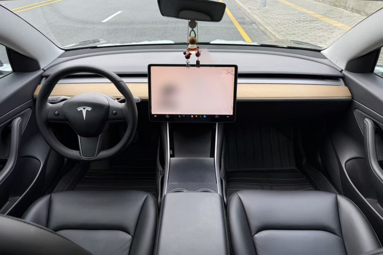 Tesla Model 3 2020 car image #9
