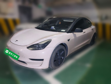 Tesla Model 3 2022 car image 