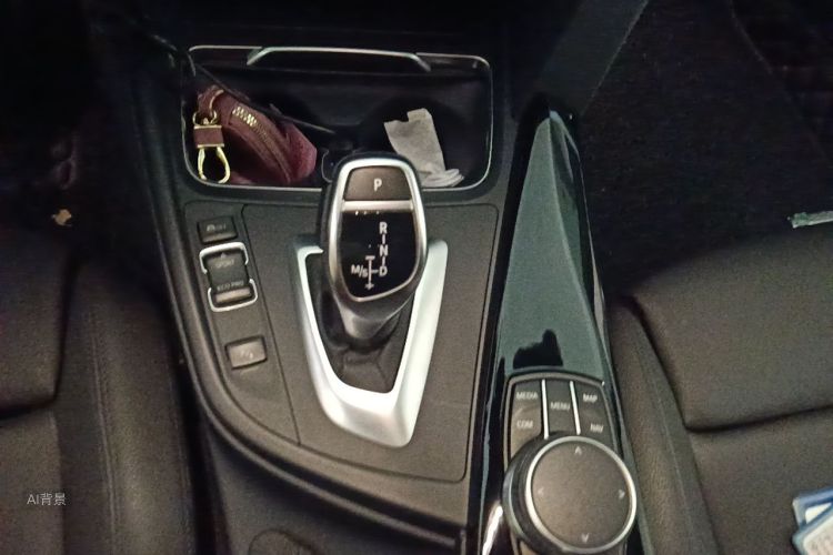 BMW 3 Series 2017 car image #16