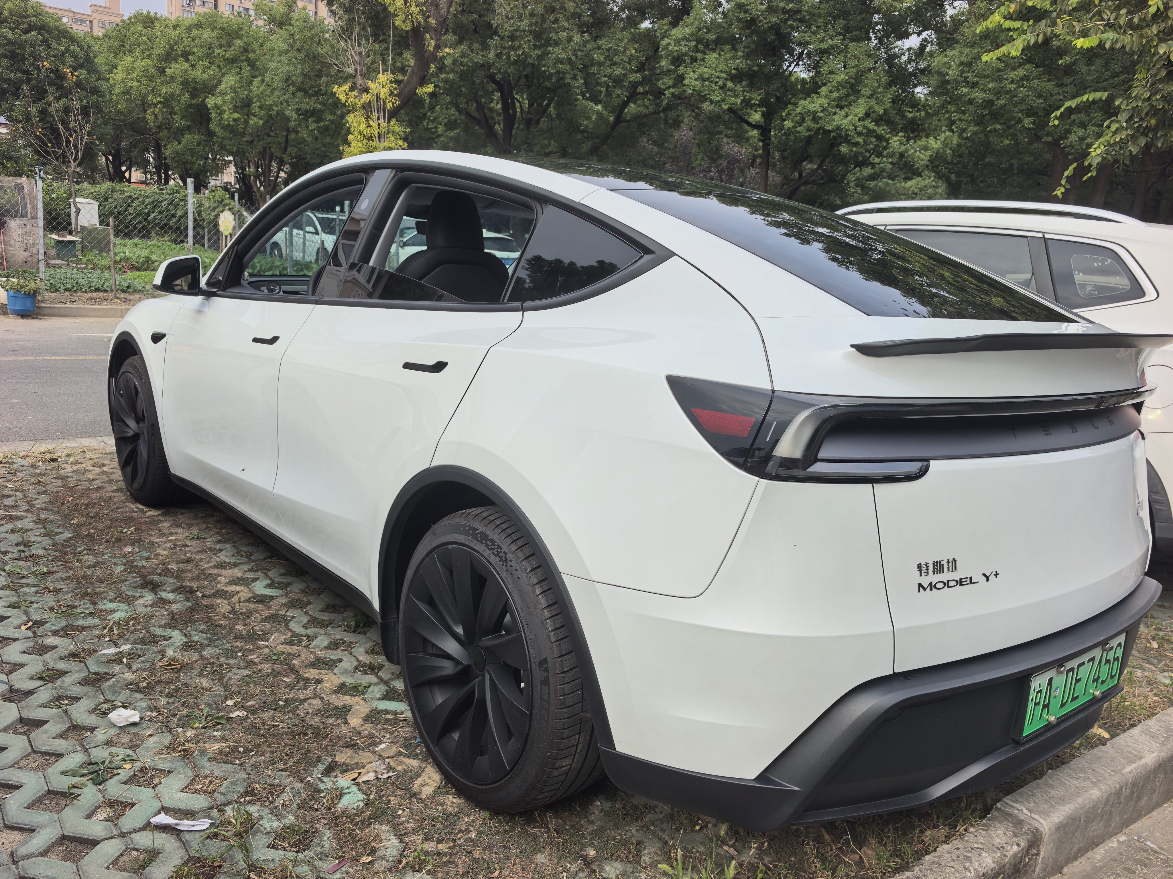 Tesla Model Y 2025 #7 Tesla Model Y 2025 car image #7