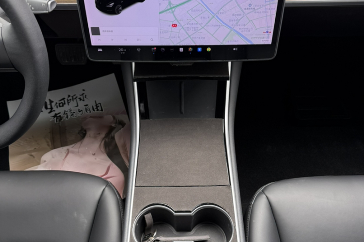 Tesla Model 3 2020 car image #15