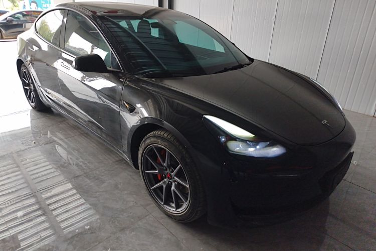 Tesla Model 3 2023 immagine di auto #6