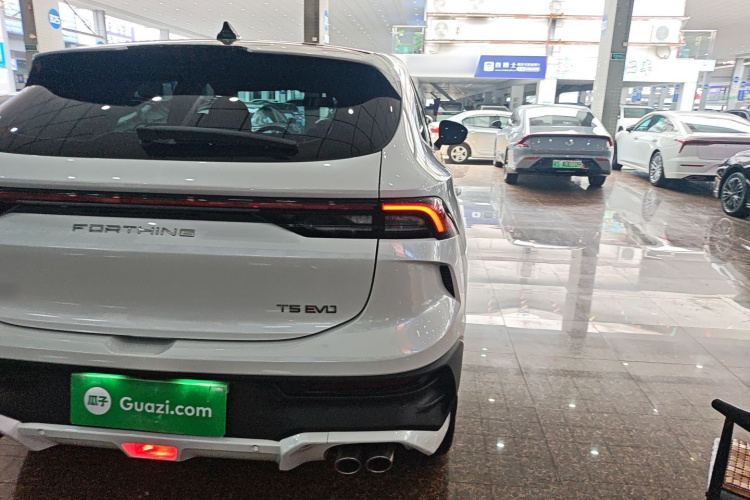 Forthing T5 EVO 2024 immagine di auto #8