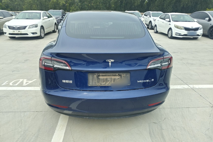 Tesla Model 3 2020 car image #6
