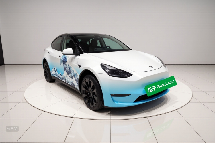 Tesla Model Y 2021 immagine di auto #4