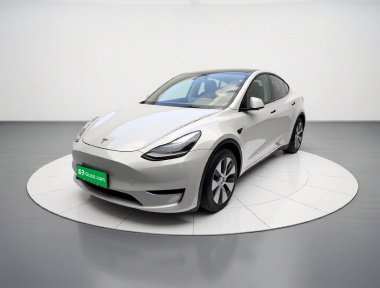 Tesla Model Y 2022 car image 