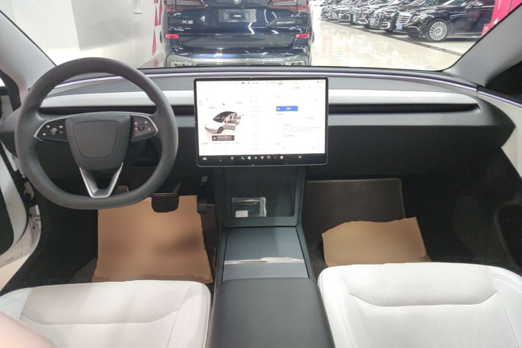 Tesla Model 3 2024 car image #10