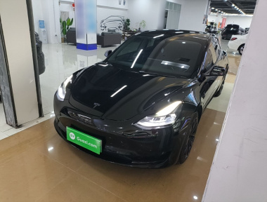 Tesla Model 3 2021 Tesla Model 3 2021 immagine di auto
