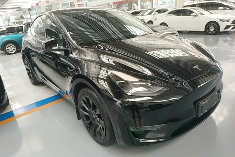 Tesla Model Y 2021 car image #4