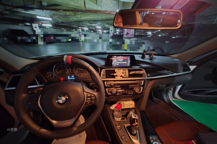 BMW 3 Series 2016 car image #11