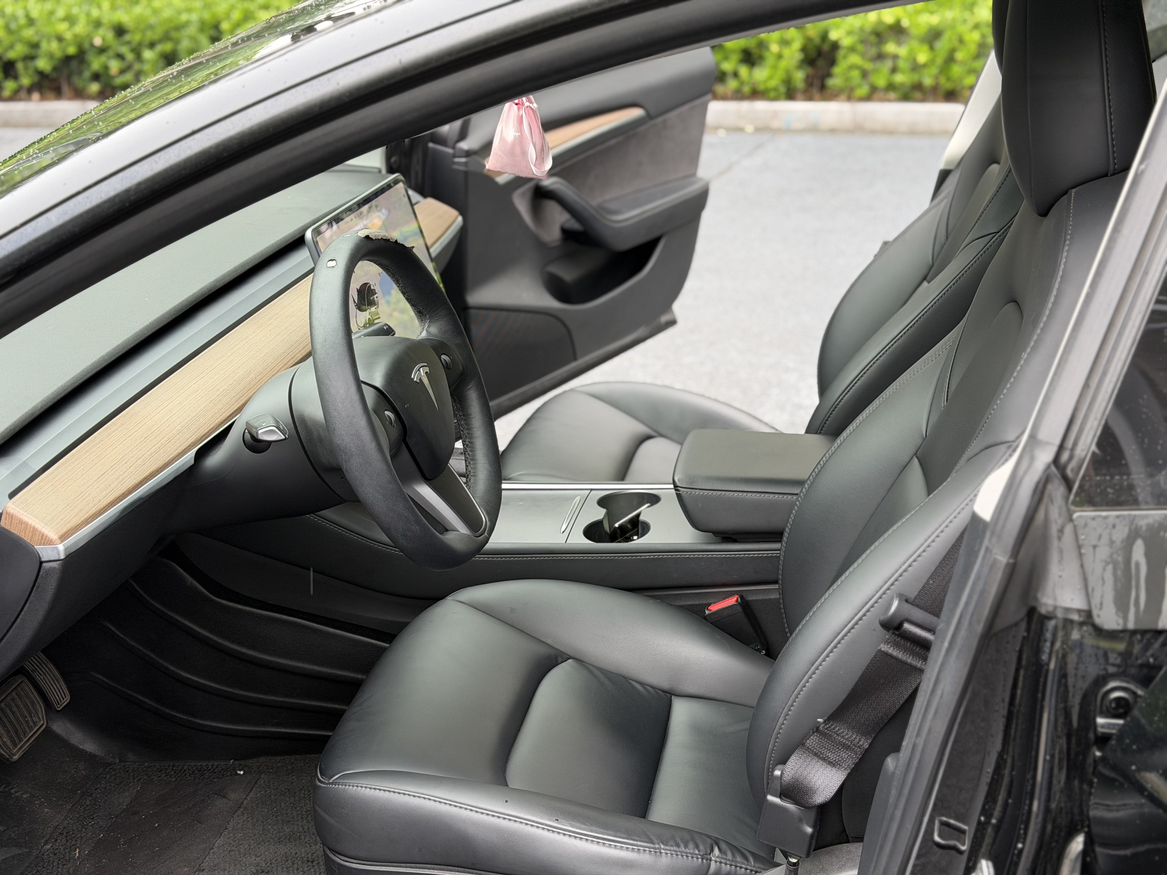 Tesla Model 3 2021 immagine di auto #4