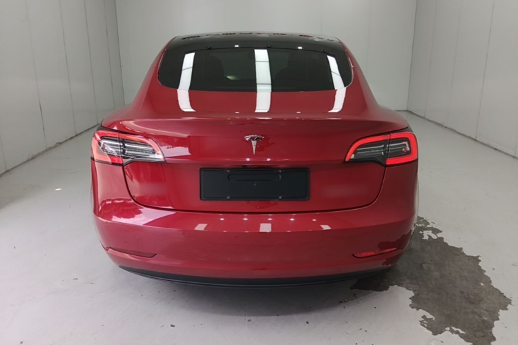 Tesla Model 3 2021 #4 Tesla Model 3 2021 car image #4