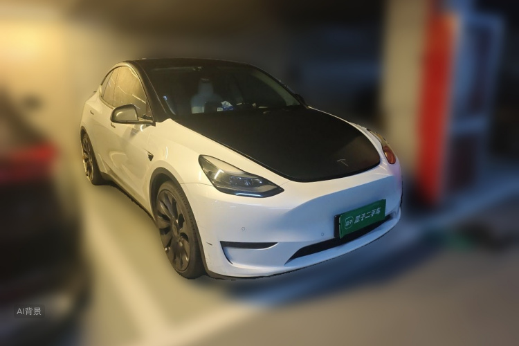 Tesla Model Y 2023 car image #4