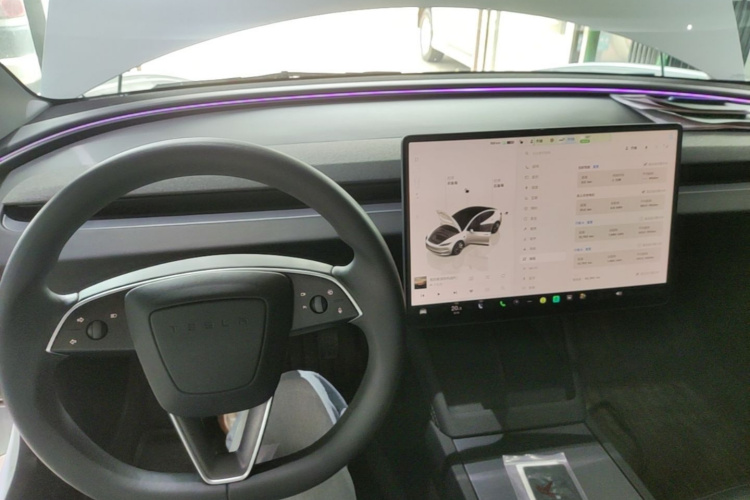 Tesla Model 3 2023 car image #10