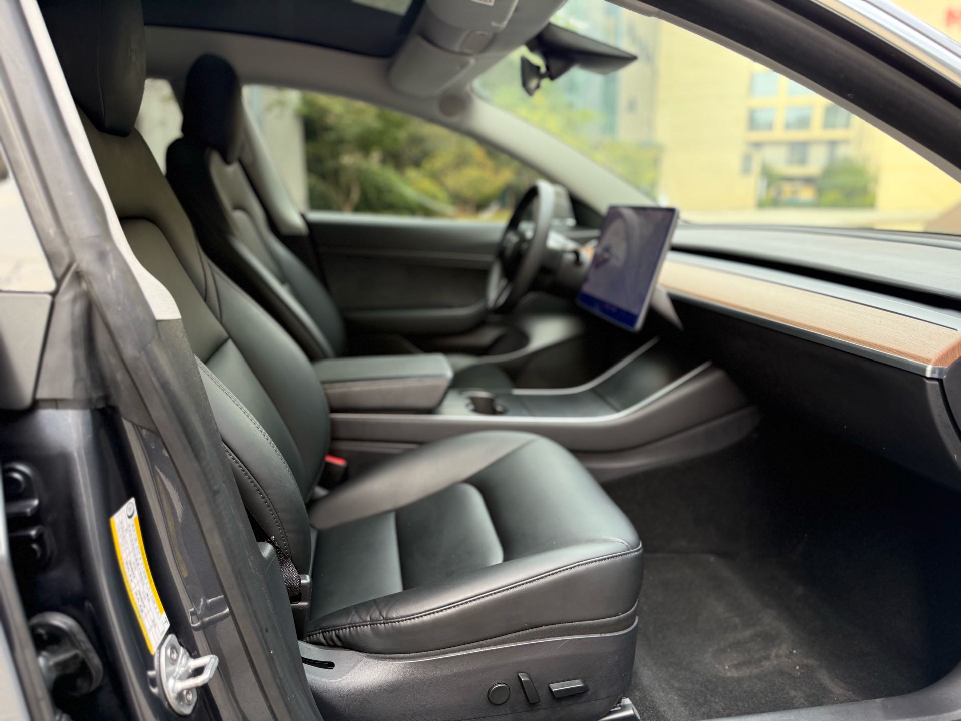 Tesla Model 3 2020 car image #6