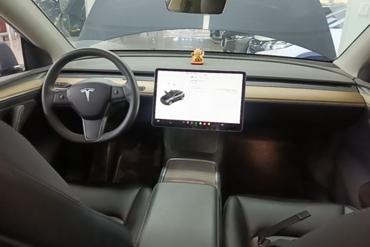 Tesla Model Y 2021 immagine di auto #10