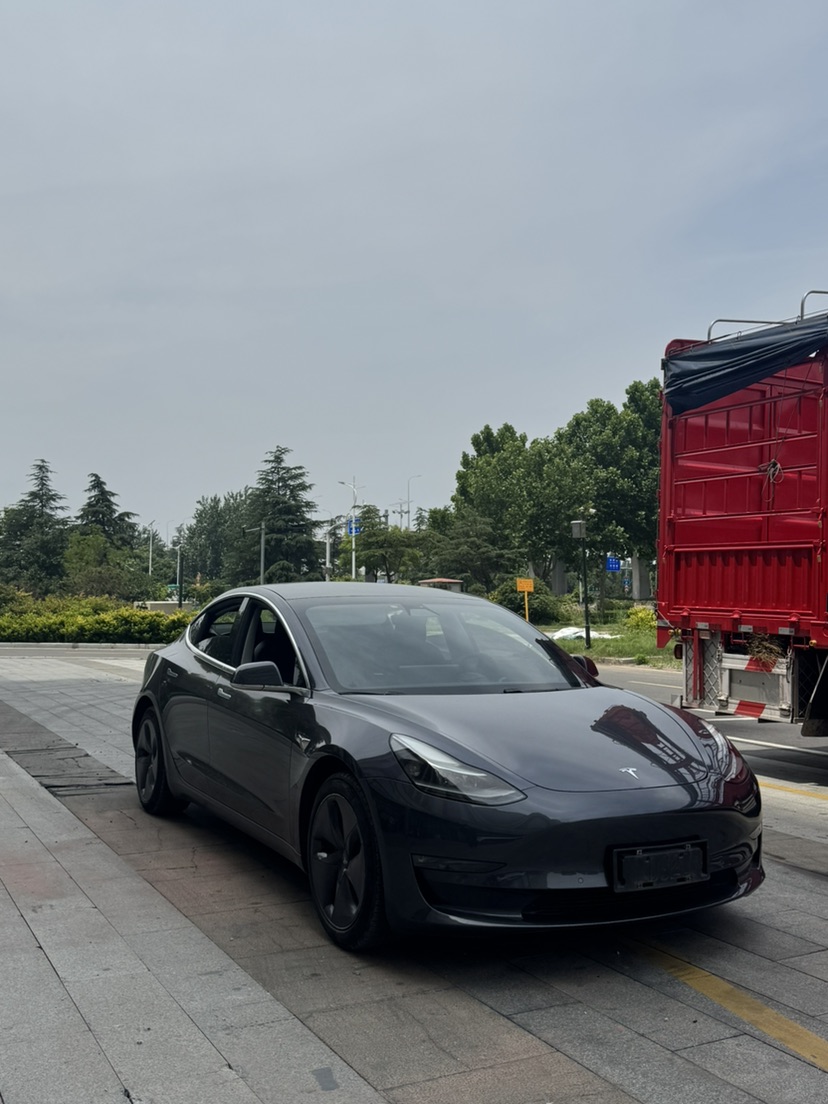 Tesla Model 3 2020 car image #3