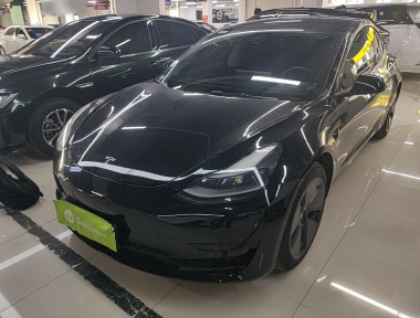 Tesla Model 3 2021 Tesla Model 3 2021 immagine di auto
