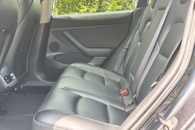 Tesla Model 3 2021 car image #11