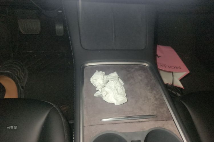 Tesla Model 3 2023 car image #15