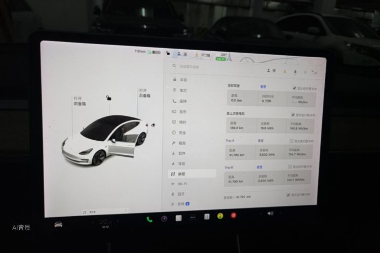 Tesla Model 3 2020 car image #15