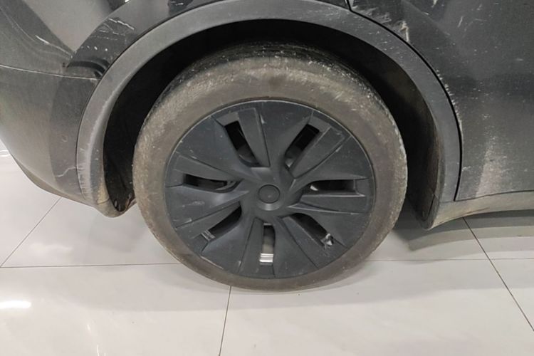 Tesla Model Y 2023 #10 Tesla Model Y 2023 car image #10