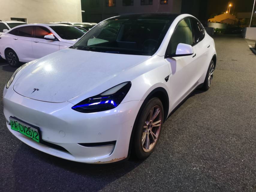 Tesla Model Y 2021 Tesla Model Y 2021 car image