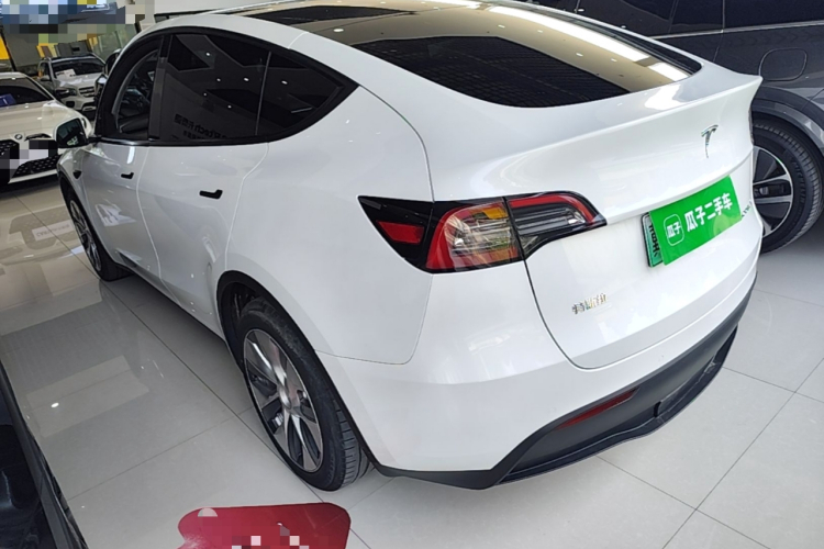 Tesla Model Y 2021 car image #5
