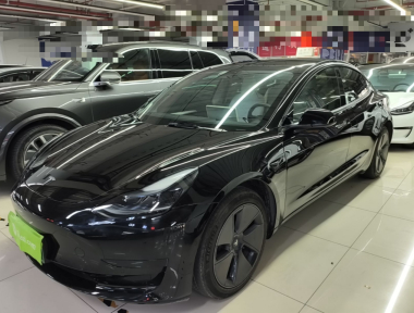 Tesla Model 3 2023 Tesla Model 3 2023 car image