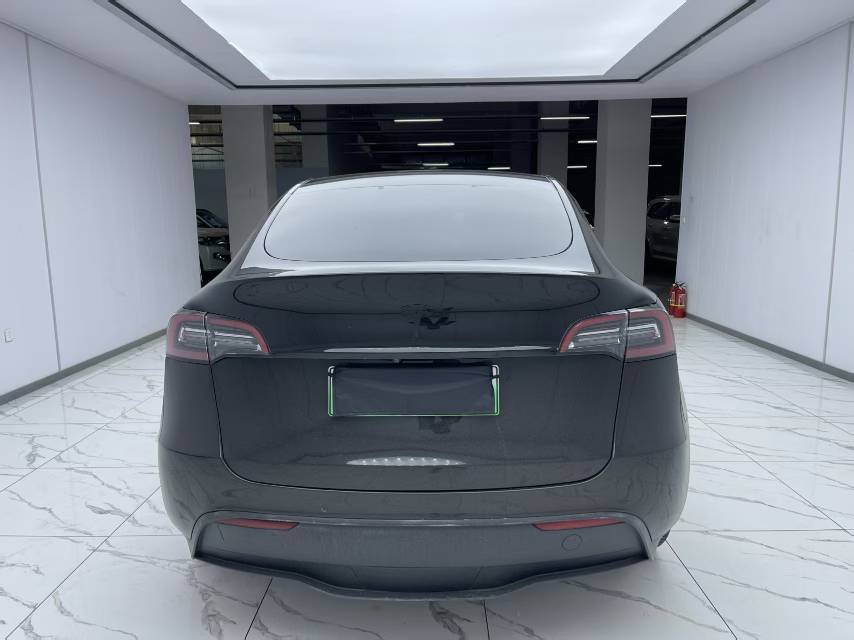 Tesla Model Y 2021 car image #8