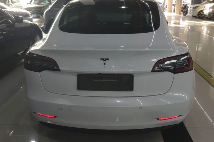 Tesla Model 3 2021 #6 Tesla Model 3 2021 car image #6