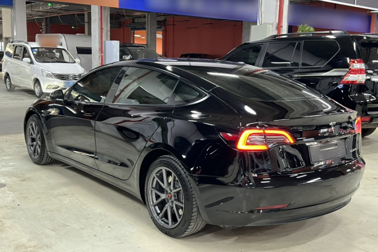 Tesla Model 3 2021 #8 Tesla Model 3 2021 car image #8