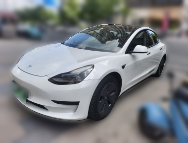 Tesla Model 3 2021 Tesla Model 3 2021 car image